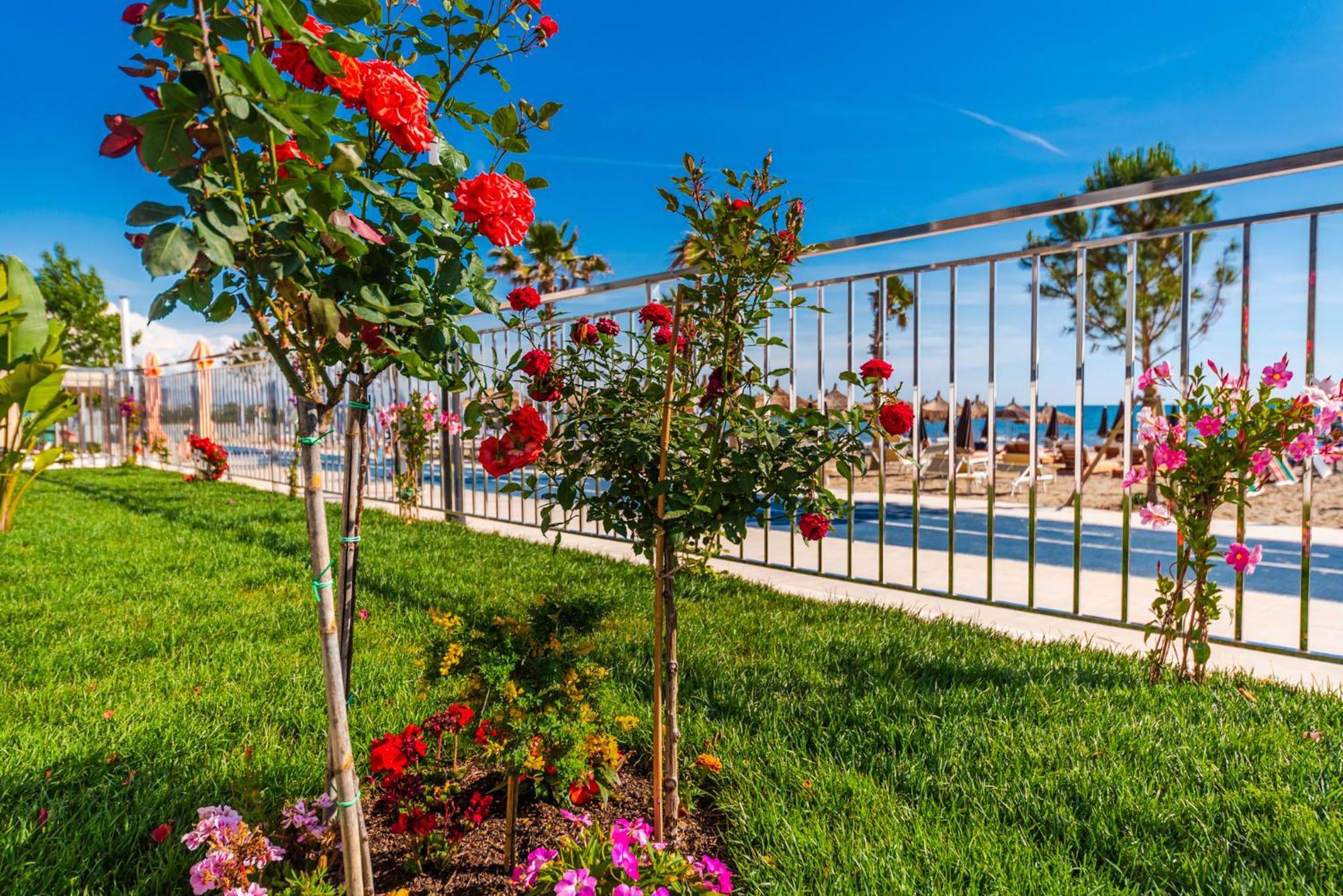 Sea View Apartments Eldo Durrës Exterior foto